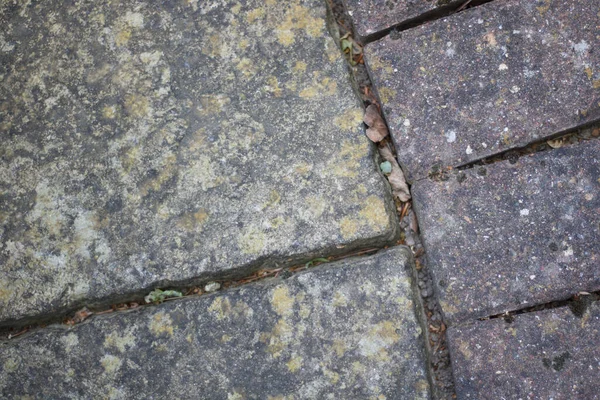 Yıpranmış bahçe kaldırım döşemeleri boşluklarda döküntüler ve kopyalama alanı