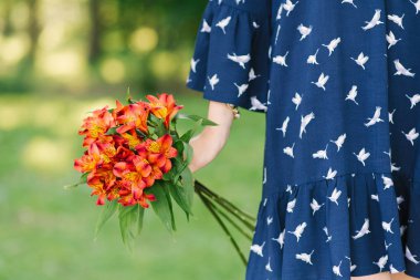Bir kızın ellerinde bir buket turuncu Alstroemeria. Kapat.