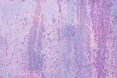 Boşlukları kopyalamak için çizgileri olan mor ve eflatun arkaplan