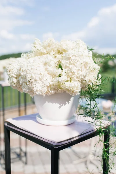 Strauß Aus Weißen Hortensien Einer Weißen Vase Dekor Der Ausreiseanmeldung — Stockfoto