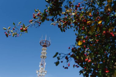 Minsk, Belarus. Eylül 2019. Mavi gökyüzüne karşı dikenli dallarla çevrili bir televizyon kulesi.