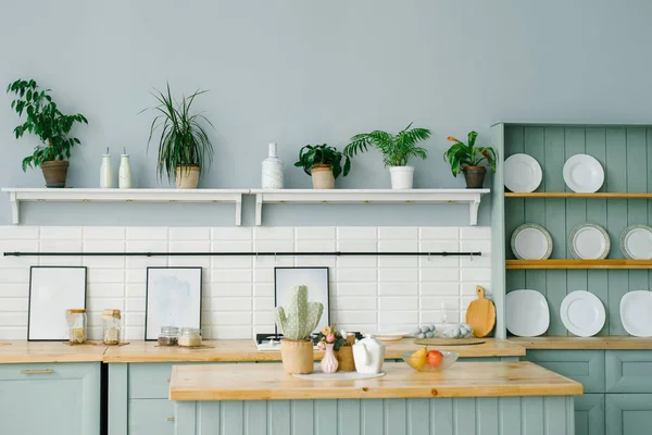 Scandinavian Style Kitchen Interior White Mint Colors White Plates Houseplants — 스톡 사진