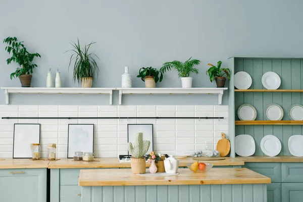 Estilo Escandinavo Interior Cocina Colores Blanco Menta Placas Blancas Plantas — Foto de Stock