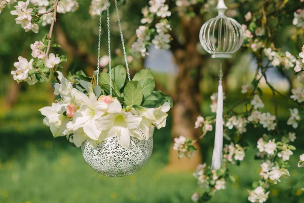 Weiße Schöne Blumen Einer Silbernen Runden Vase Hängen Einem Blühenden — Stockfoto