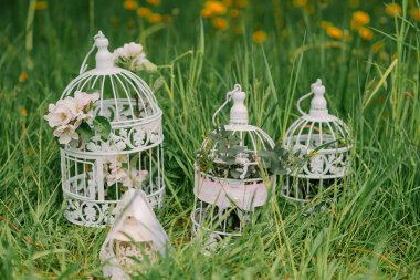 Çiçek açan elma ağacının dallarıyla dekoratif kafesler 