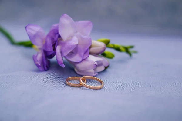 Anillos de oro de boda para la novia y el novio y una freesia púrpura — Foto de Stock