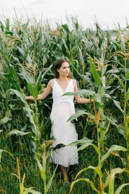 Kahverengi saçlı, beyaz elbiseli güzel bir kız...