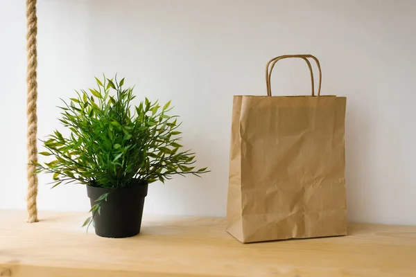 Kunstmatige groene kamerplant en ambachtelijke papieren zak op een plank — Stockfoto