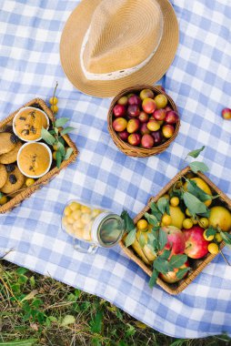 Fruit and berries in picnic baskets on a blue white checkered ta