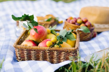 Apples and plums in a wicker basket on a white blue checked tabl