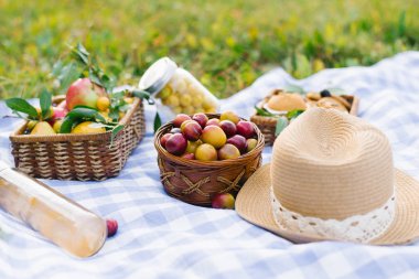 Fruit and berries in picnic baskets on a blue white checkered ta