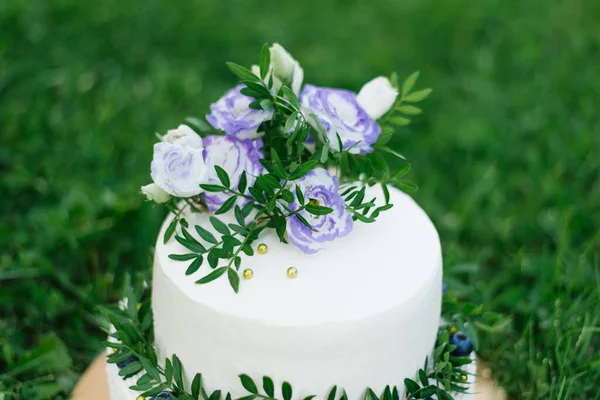 Wedding white two-tier cake with branches of greenery and lilac — Stock Photo, Image