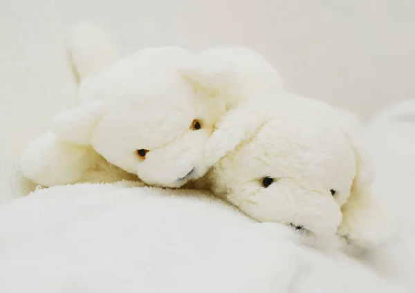 Dos juguetes blandos osos polares de cerca. Juguete infantil — Foto de Stock