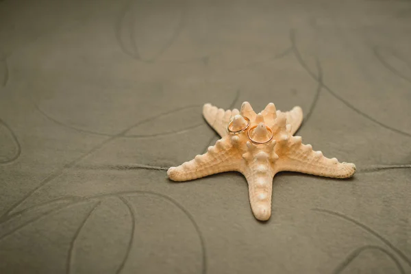 Anéis Casamento Ouro Estrela Mar Fundo Azeitona Com Espaço Cópia — Fotografia de Stock