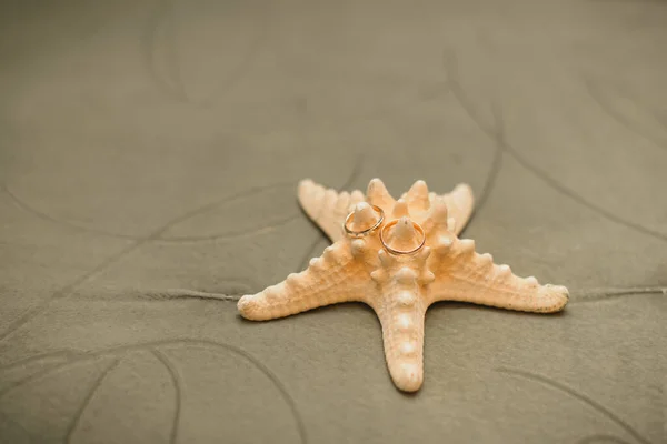 Anéis Casamento Ouro Estrela Mar Fundo Azeitona Com Espaço Cópia — Fotografia de Stock