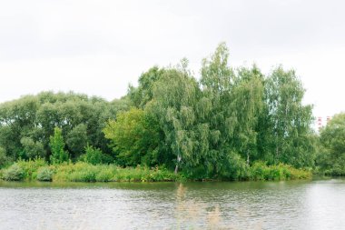 Belarus yazı yaprak döken ağaçlar ve Minsk 'te akan Svisloch nehri..
