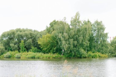 Belarus yazı yaprak döken ağaçlar ve Minsk 'te akan Svisloch nehri..