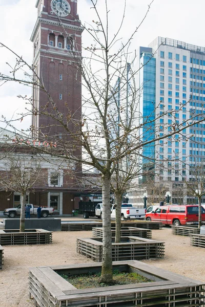 米国ワシントン州シアトル 2020年3月 中央駅付近の春の木 — ストック写真