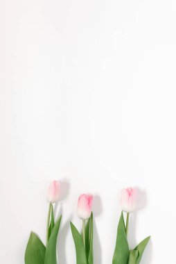 Minimalist trend, Anneler Günü için şık bir tebrik kartı. Arkaplanda kopyalama alanı olan pembe laleler