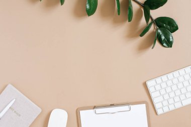 Daire ev ofisinin çalışma yerinde yatıyordu. Ofis malzemeleri: klavye, fare, not defteri, kalem, tablet, temiz bir kağıt ve bir dal zamiokulka. Boşluk kopyalanıyor. En küçük düz biçim