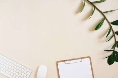 Serbest çalışan ya da blog yazarı için modern, minimalist bir masaüstü. Ofis malzemeleri ve yeşil bir dal. Boşluk kopyalanıyor. Minimum düzlük