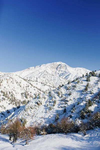 Picos Nevados Montaña Cubiertos Nieve Día Invierno Helado — Foto de Stock