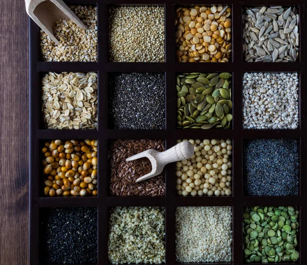 Una vista de arriba hacia abajo de una caja de compartimentos individuales de semillas y granos . — Foto de Stock