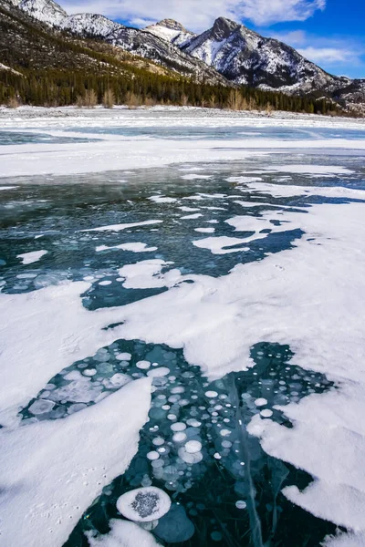 View of bubbles in the ice of Abraham lake, Alberta formed by methane gas.