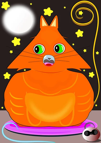 Yıldızlı bir gecede kedi — Stok fotoğraf