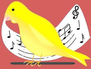 Kanarya erkek şarkı sarı repertuarını müzik notaları ile.