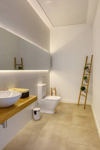 Modern bathroom of milimalist design with ceramic washbasin suspended on solid oak wood table. Reed staircase with decorative planters.