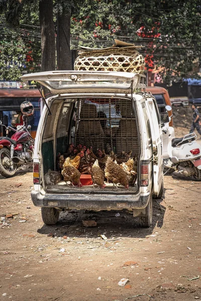 Van en un mercado callejero en Nepal, Asia con pollos a la venta en la parte trasera de una camioneta blanca con la puerta abierta. Comida callejera Vertical —  Fotos de Stock