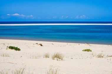 Tropik kum ve mercanlı, bitkisel ve mavi deniz zeminli beyaz plaj. Horizont. Mozambik 'te. Vilankulos. Kötü adamlar.