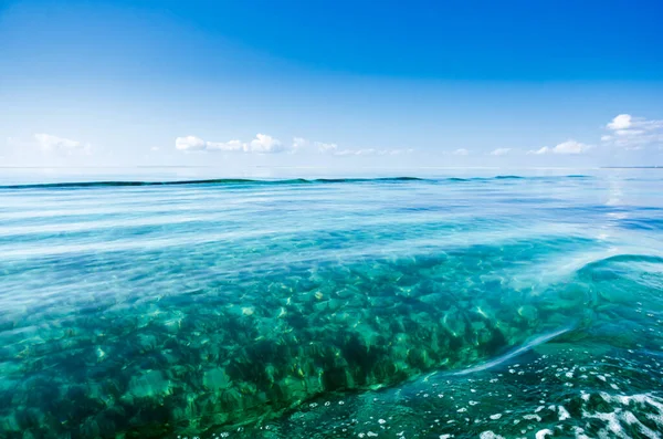 Quiet tropical sea blue sky with clouds and with transparent ones that allow to see the seaweed background