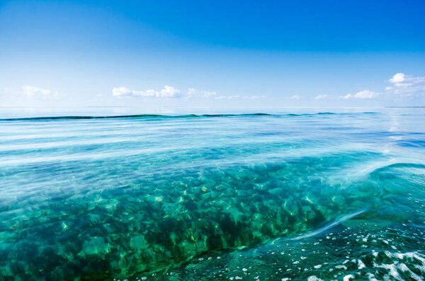 Quiet tropical sea blue sky with clouds and with transparent ones that allow to see the seaweed background