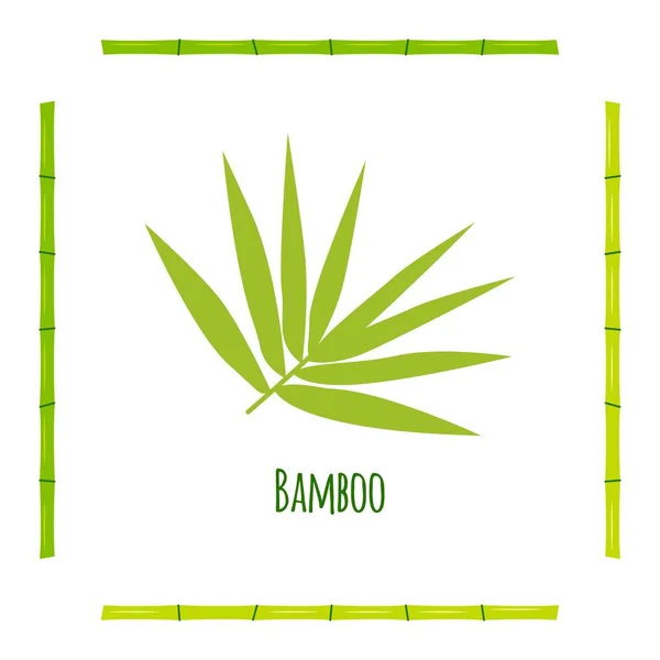 Egy bambuszlevelű ág zöld szárakkal. Stock Vektor