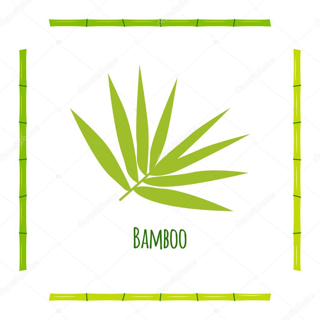 A branch with bamboo leaves green with stems