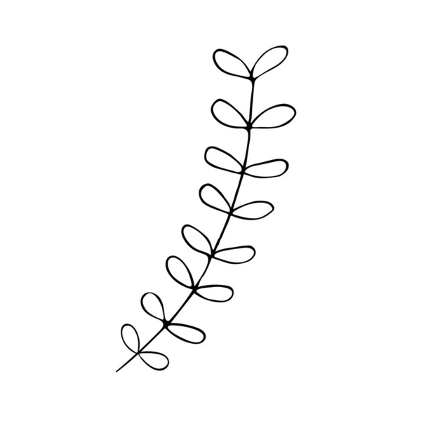 Sprig con foglie in stile doodle. Bianco e nero — Vettoriale Stock