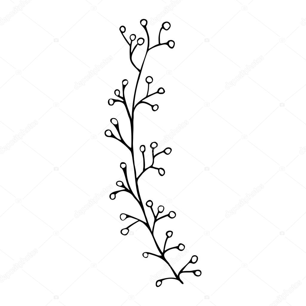 Sprig with berries in doodle style. Black and white