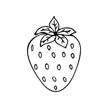 Beyaz arka planda olgun çilek, karalama tarzında siyah beyaz çizim. Sağlıklı ve lezzetli yaz meyveleri taşıyıcısı