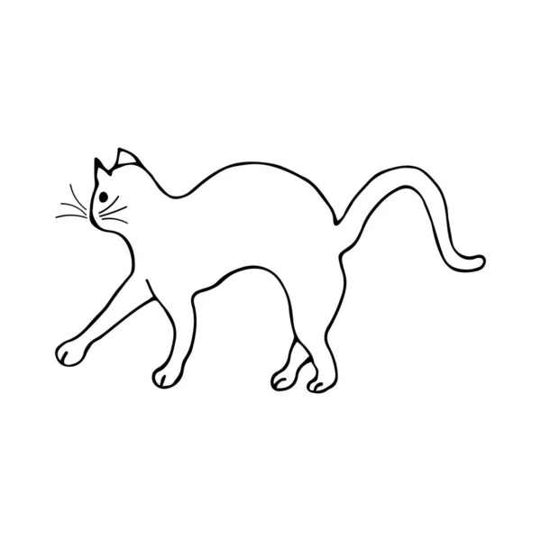 Doodle Cat Arqueó Espalda Ilustración Blanco Negro Sobre Fondo Blanco — Vector de stock