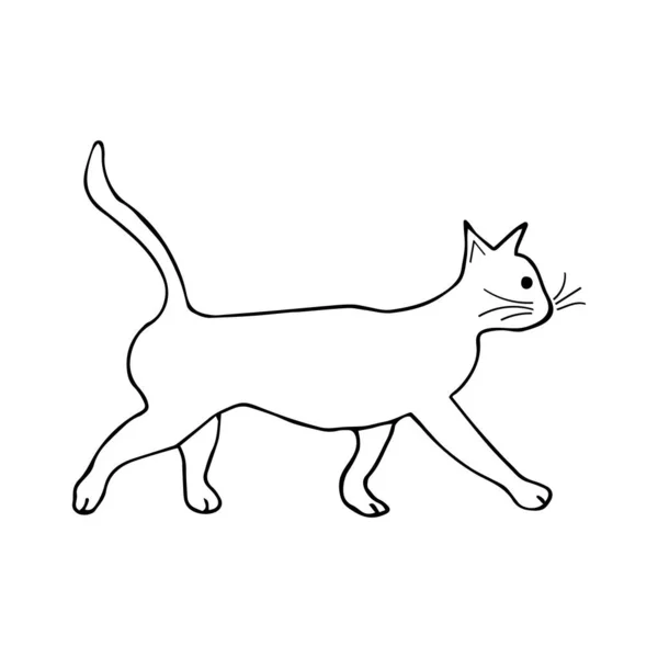 Котенок Черно Белая Иллюстрация Белом Фоне Симпатичное Животное Движется Вперед — стоковый вектор