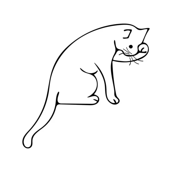 白い背景に1つの足 黒と白のイラストを洗う猫の人形 かわいい動物ベクトル — ストックベクタ
