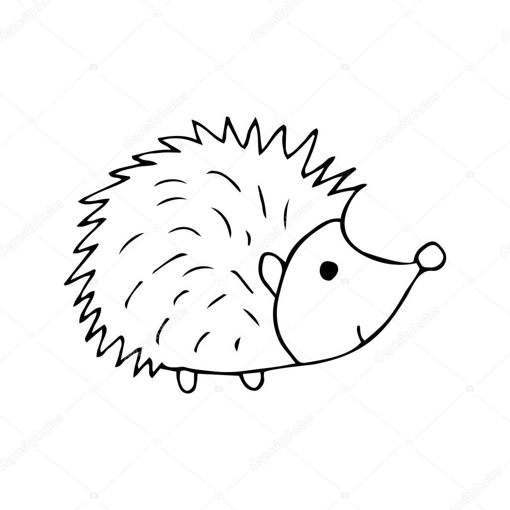 Cute hedgehog black and white doodle illustration on white background. Forest animal with prickly needles vector