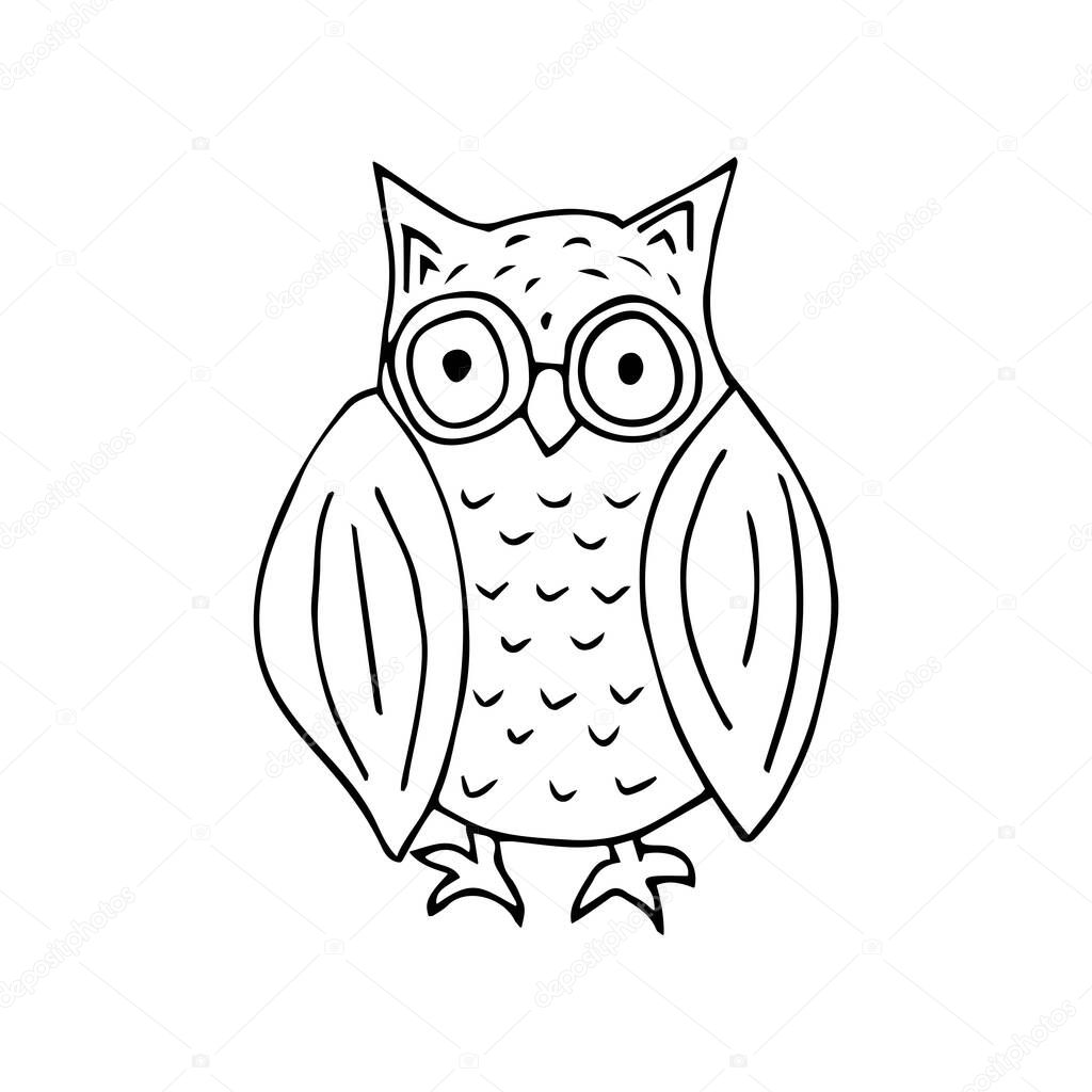 Cute owl black and white doodle illustration on white background. Forest bird of prey vector