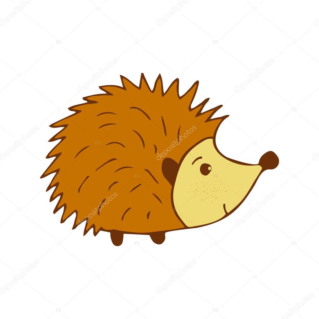 Cute hedgehog colorful doodle illustration on white background. Forest animal with prickly needles vector