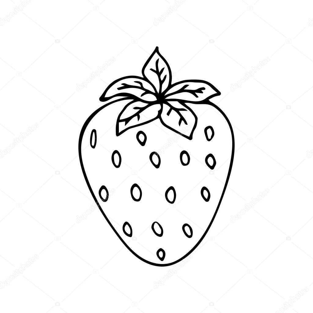 Ripe Strawberry berry on a white background, black and white illustration in doodle style. Healthy and tasty summer berries vector