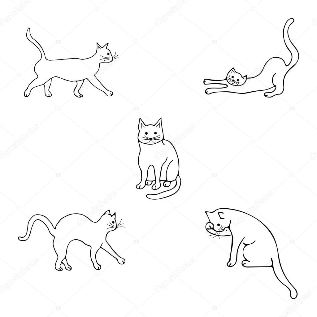 Set with cats in different poses. Goes forward, washing, arched his back, sitting and looking straight, stretching and sharpening claws. Doodle black and white illustration on white background. Cute animal vector