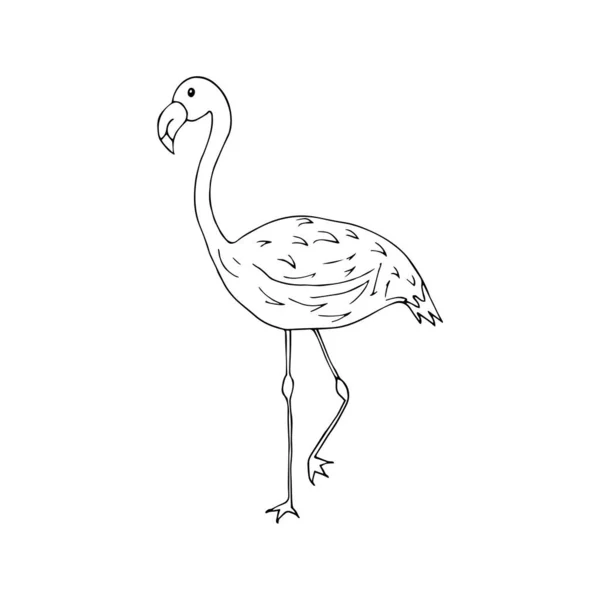 Flamingo Bird Doodle Style Black White Illustration Англійською Елегантний Птах — стоковий вектор