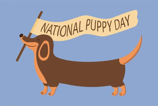 Merry Dachshund Carries Flag Inscription National Puppy Day Lovely Animal — Stock Vector